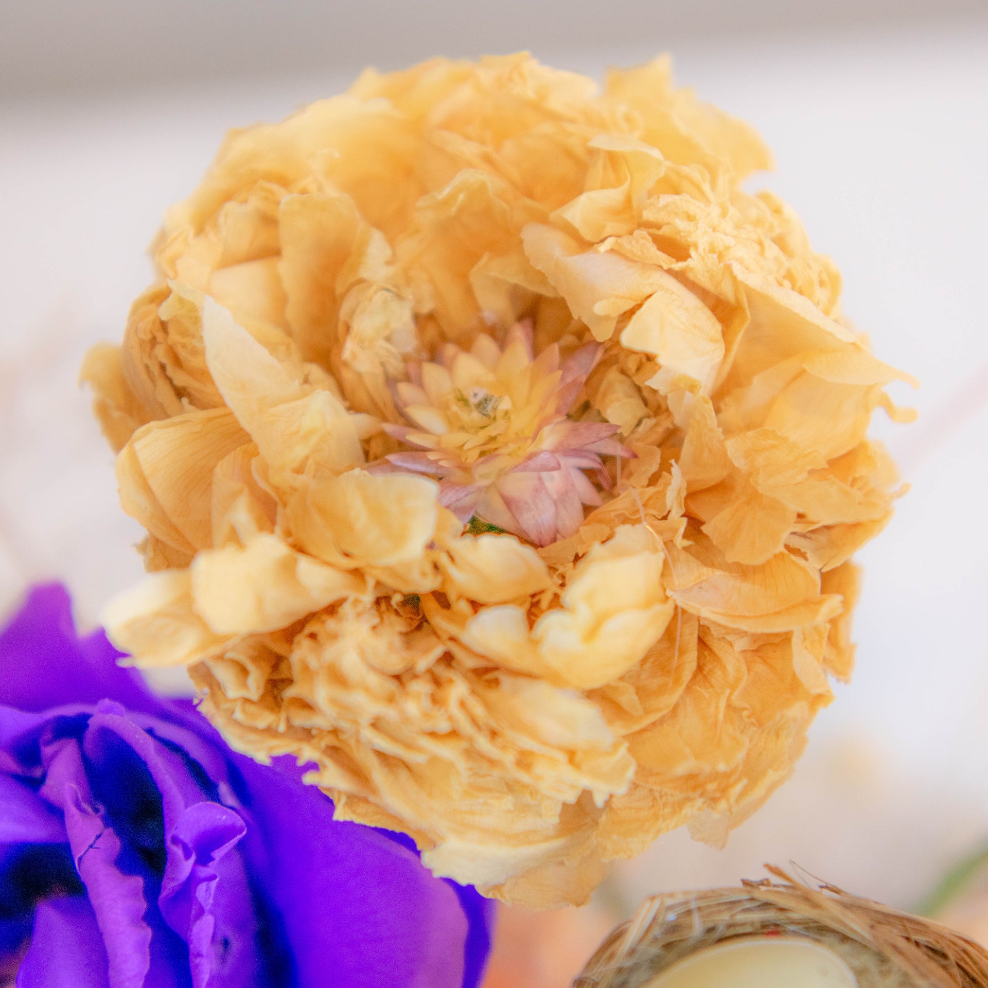 PDRY-113-MAY-Dried Flower Centrepiece