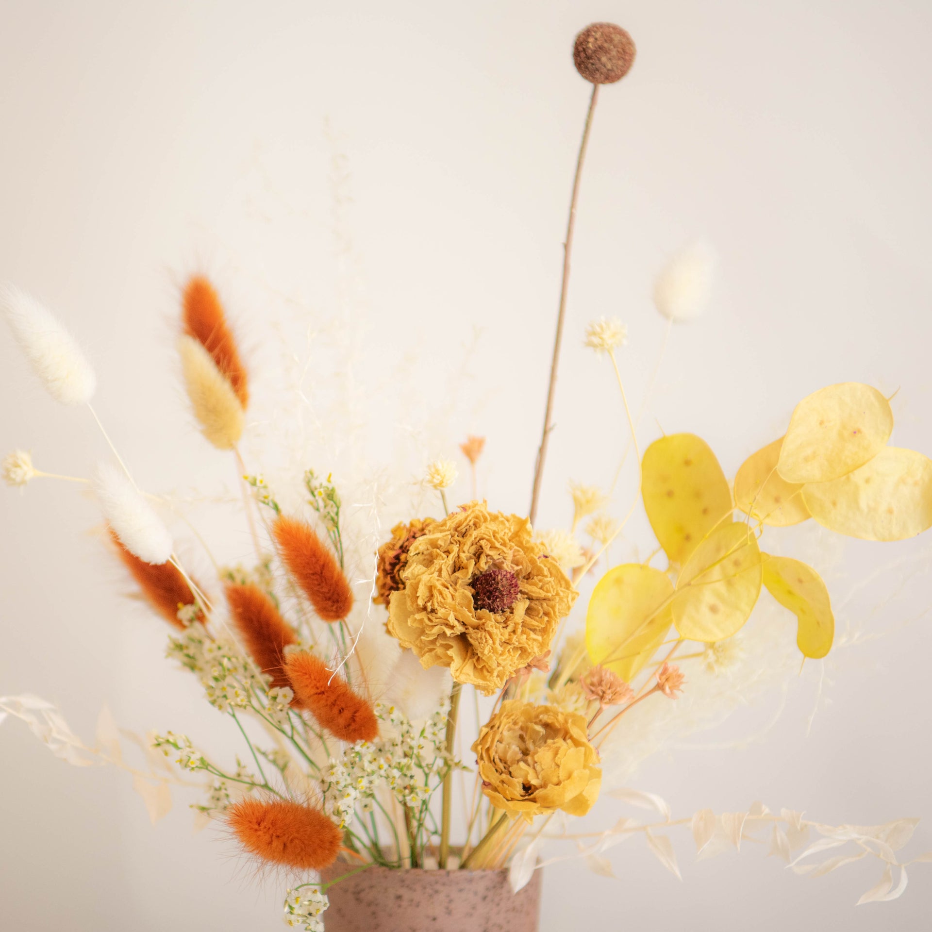 PDRY-112-NEUTRAL BLOOM CHARM-Dried Flower Centerpiece