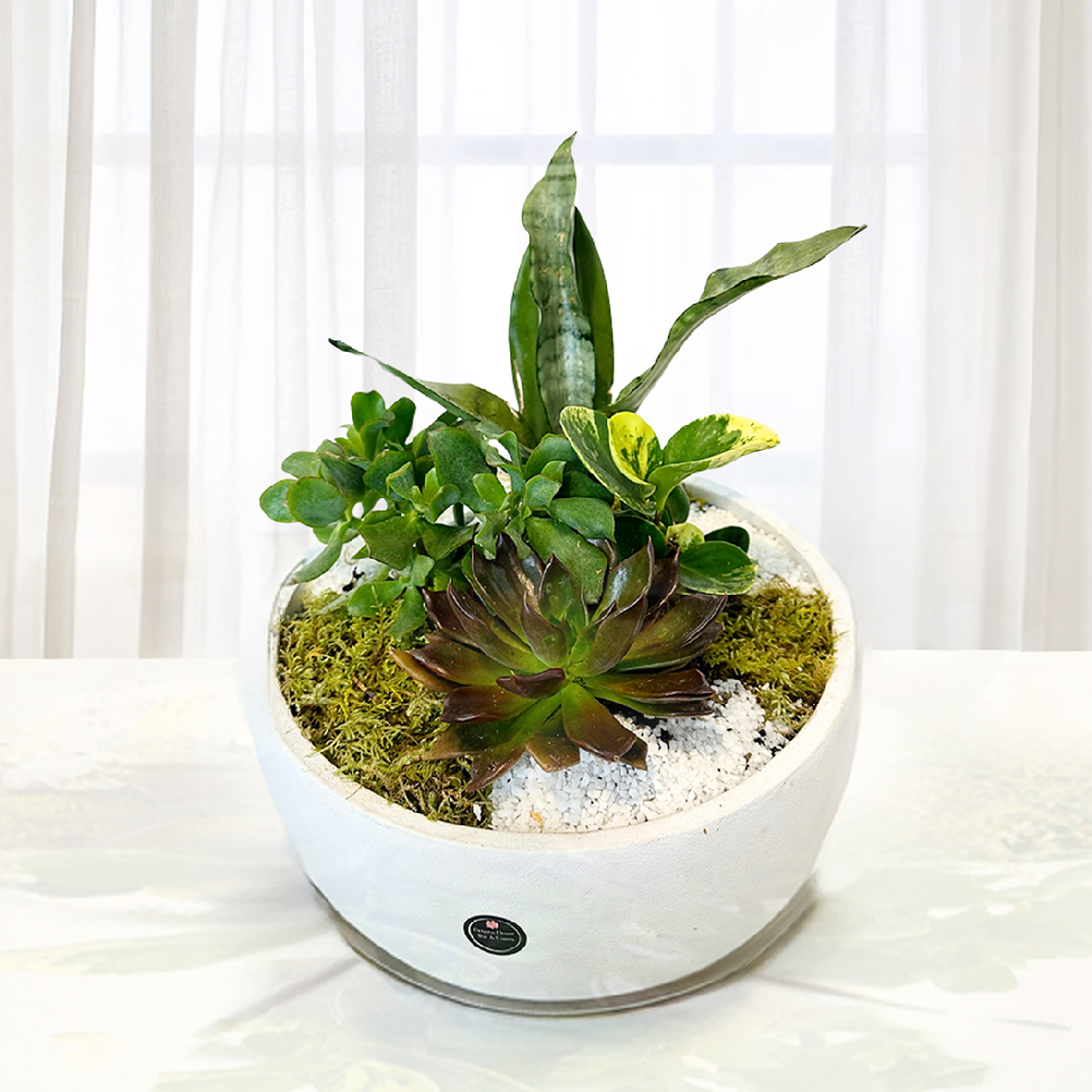 WPL-1112-TROPICAL FOREST-Plants