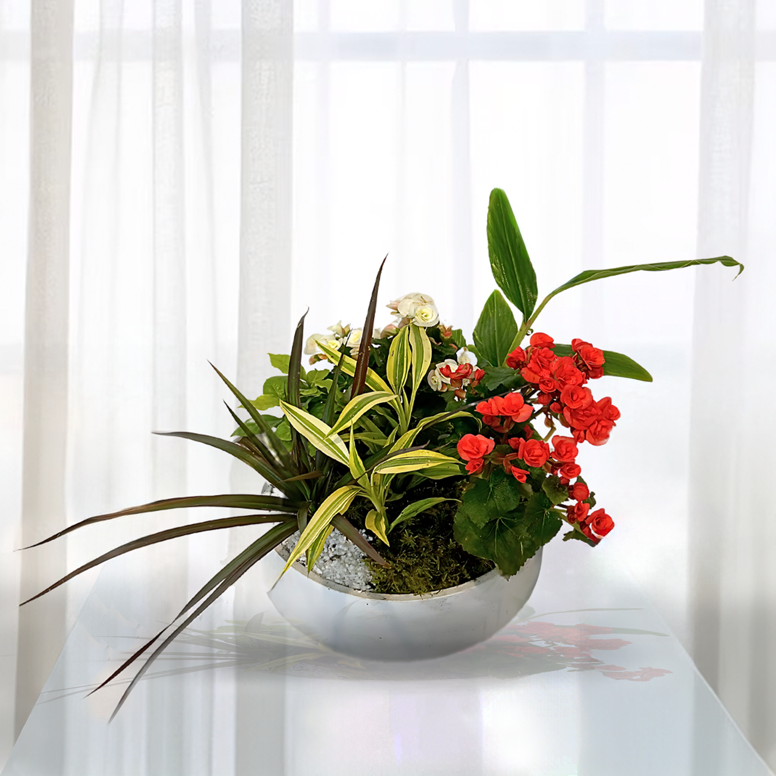 WPL-1113-BLOOMS-Plants