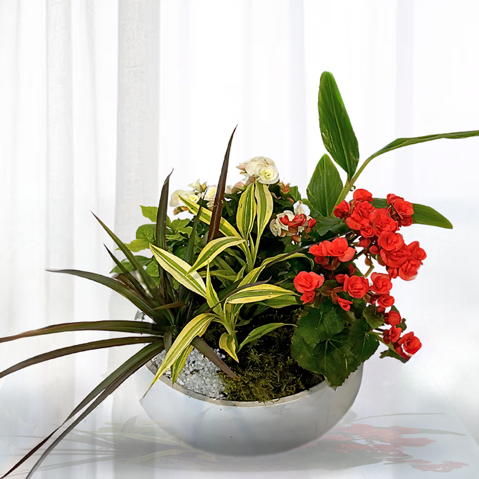 WPL-1113-BLOOMS-Plants