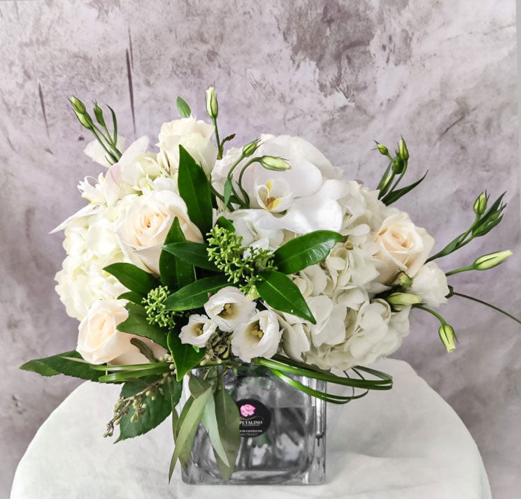 WP-PACK2 - LEONARDO sympathy and funeral package