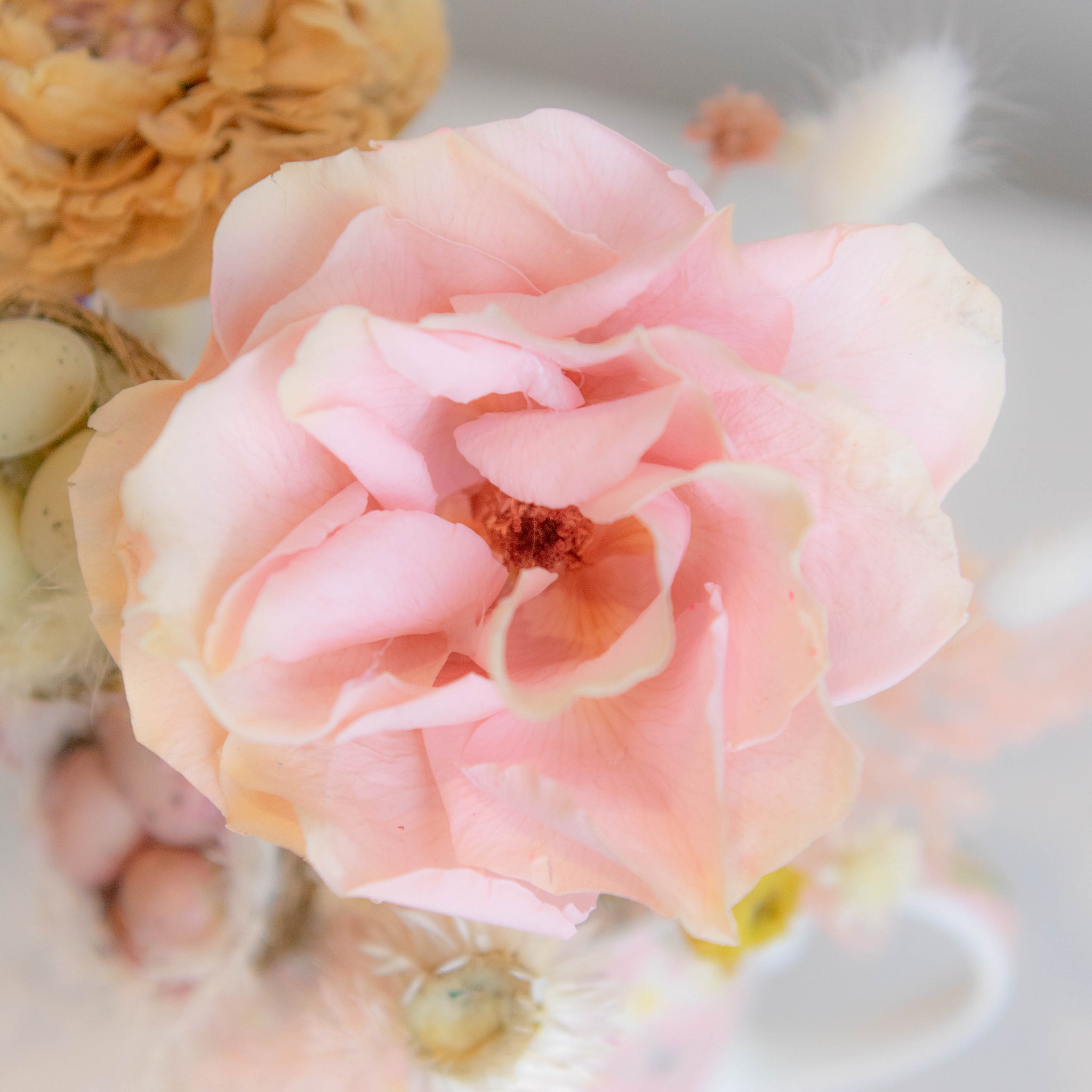 PDRY-113-SPRINGTIME & EASTER SERENITY-Dried Flower Centerpiece
