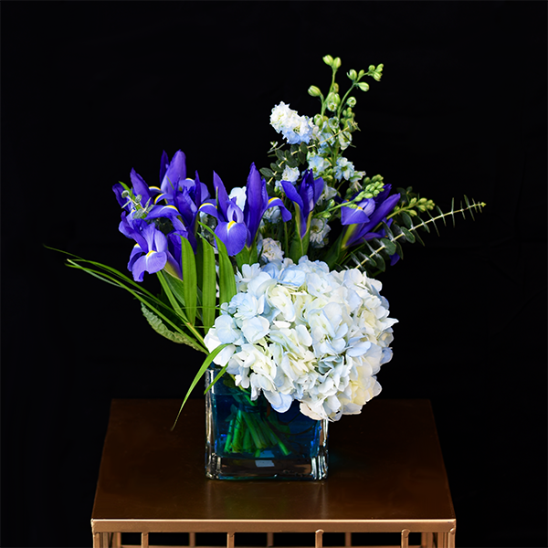 WB-311 DIVINE BLUE Petalino Flower Bar & Events