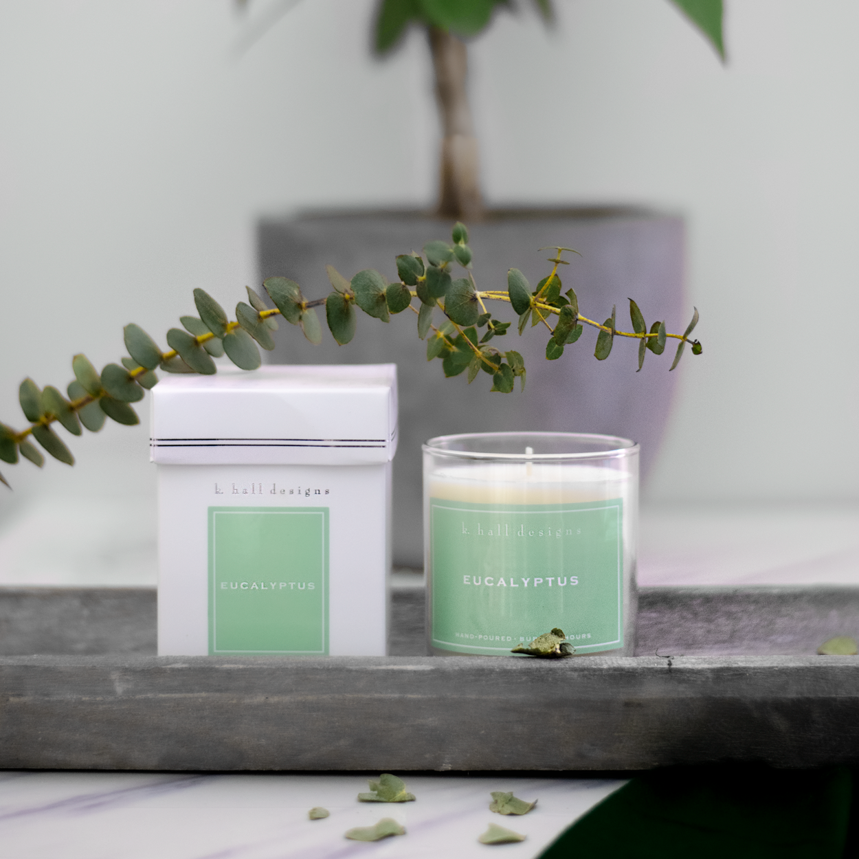 K.HALL Design 60 Hour Candles- Eucalyptus Petalino Flower Bar & Events