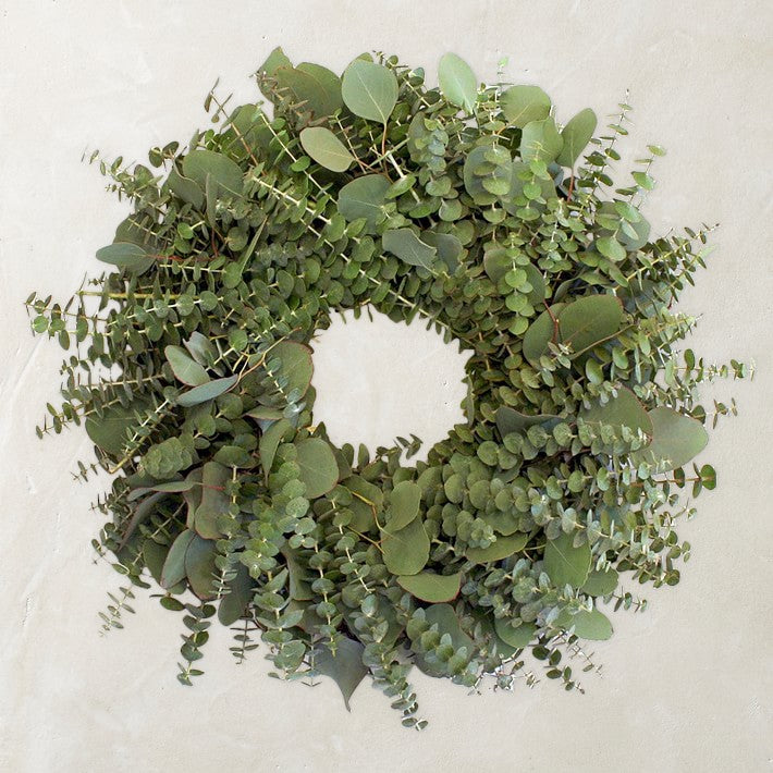 XMAS-1310 All seasons fresh green silver dollar and baby blue eucalyptus wreath Petalino Flower Bar & Events